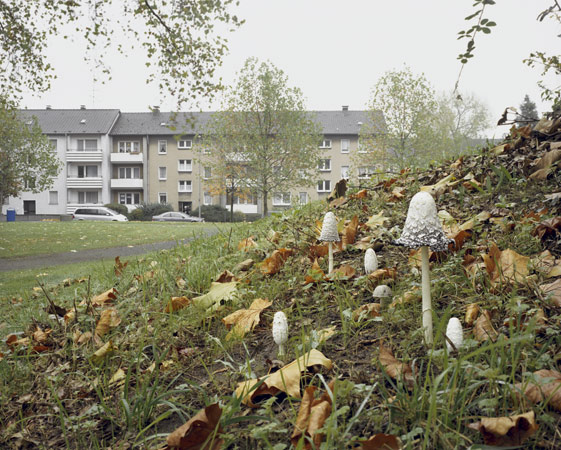 Urbane Rückseiten/Übersehene Räume 2008