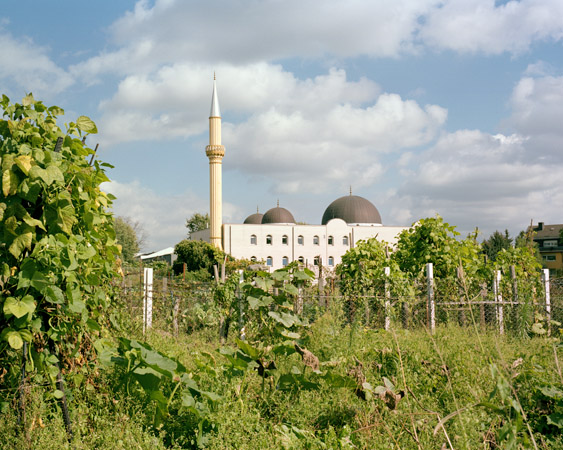 Hamm 2007