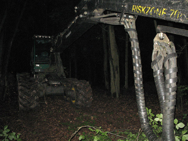 Duisburg 2007
