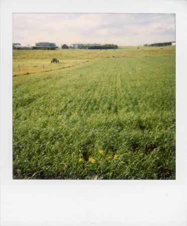 Villingen-Schwenningen 2005